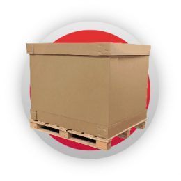 Cajas de cartón